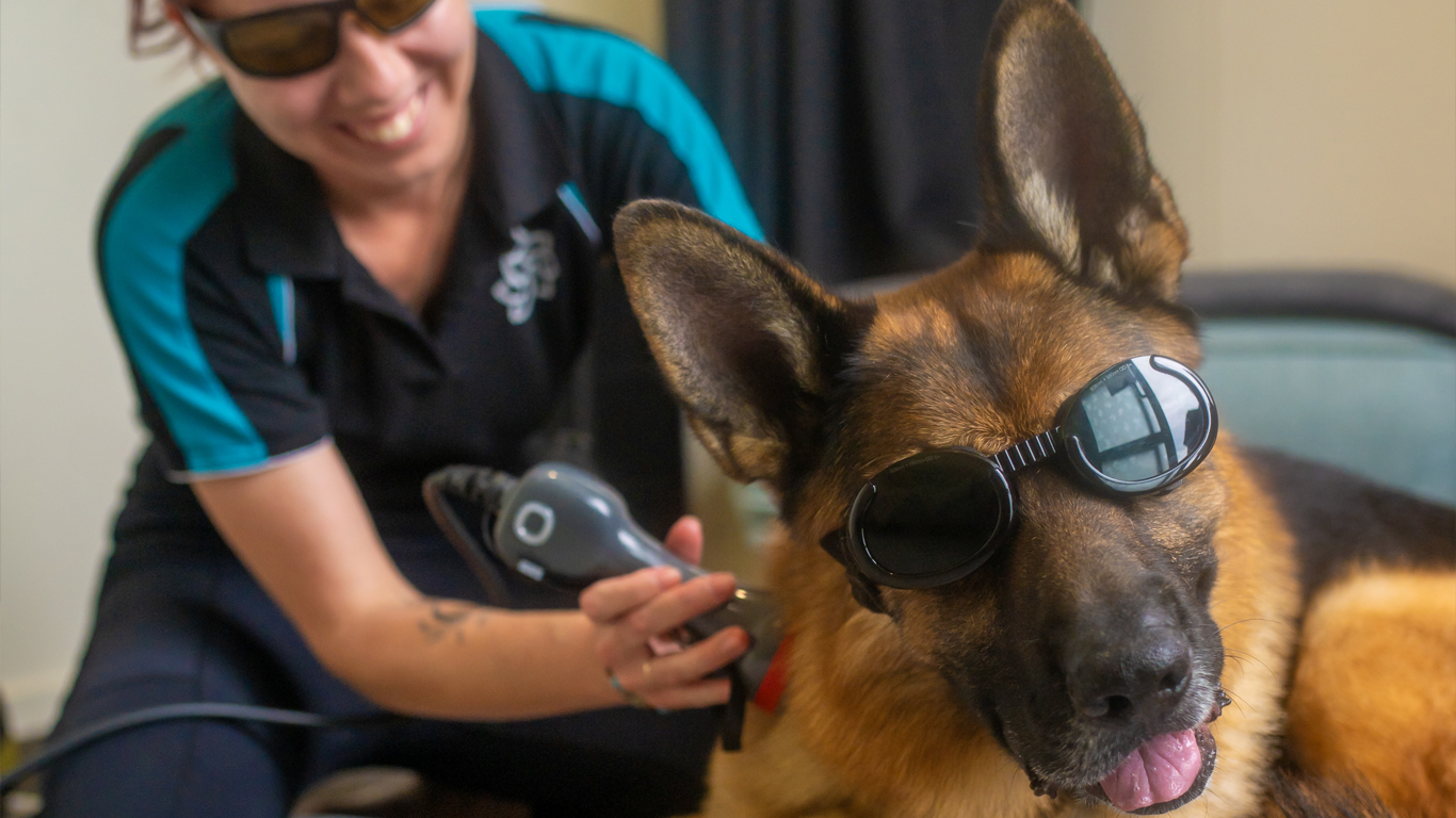 lasertherapy